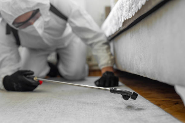 Professional Pest Control technician working in Edgewater, MD